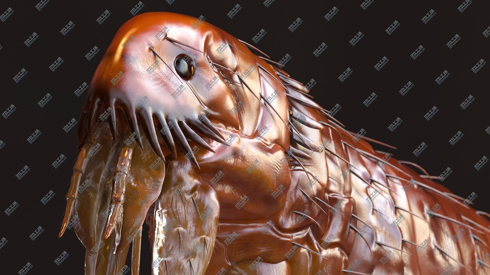 images/goods_img/202104093/3D model Flea Insect/5.jpg